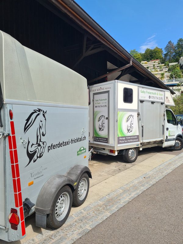 Pferdetransporter von Pferdetaxi Fricktal