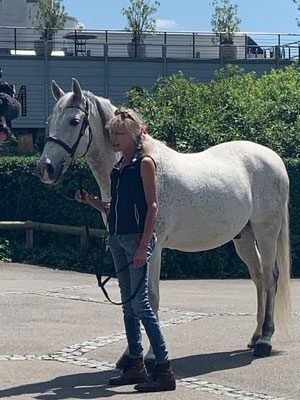 Gaby Freiermuth mit Pferden